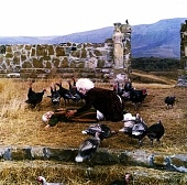 Легенда о Сурамской крепости трейлер (1984)
