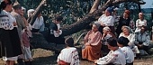 Свадьба в Малиновке трейлер (1967)