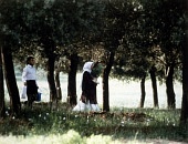 Сквозь оливы трейлер (1994)