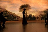 Фламенко, фламенко трейлер (2010)