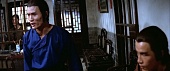 Возвращение к 36-ти ступеням Шаолиня трейлер (1980)