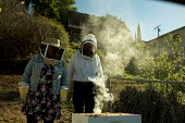 Wild Honey трейлер (2017)