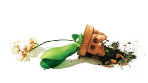 Адаптация трейлер (2002)