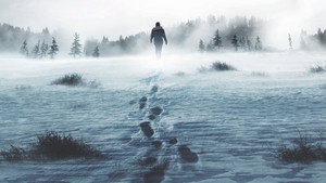 В изоляции (2015)