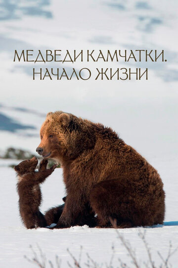 Медведи Камчатки. Начало жизни трейлер (2018)