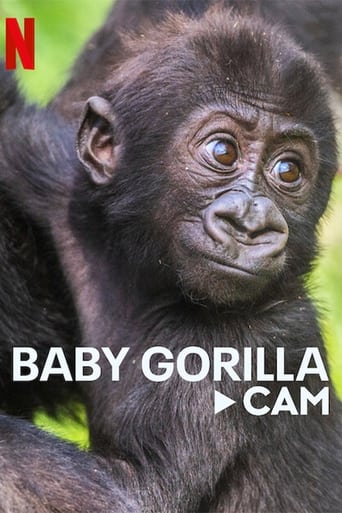 Детеныш гориллы в прямом эфире (2023)