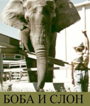 Боба и слон трейлер (1972)