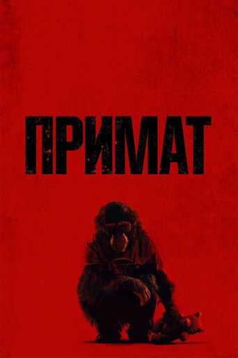 Primate