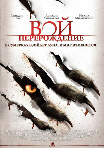 Лучшие Фильмы и Сериалы в HD (2011)