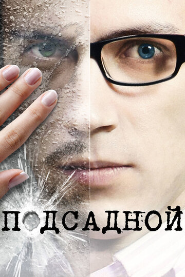 Подсадной трейлер (2010)