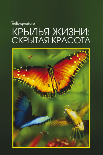 Скрытая красота: История любви, которая питает Землю трейлер (2011)