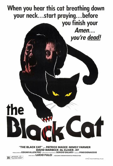 Черный кот трейлер (1981)