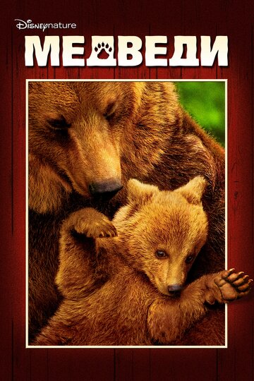 Медведи трейлер (2014)