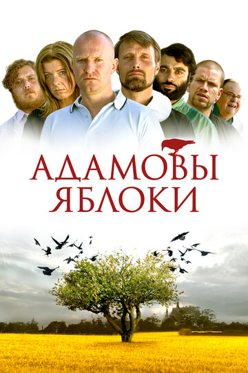 Лучшие Фильмы и Сериалы в HD (2005)