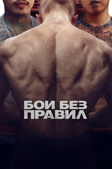 Бои без правил трейлер (2017)