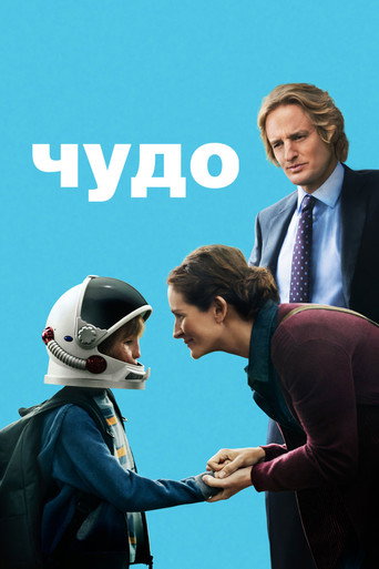 Wonder